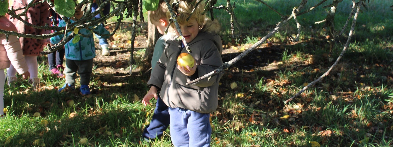 Overbury Grasshoppers -