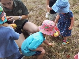Where food comes from