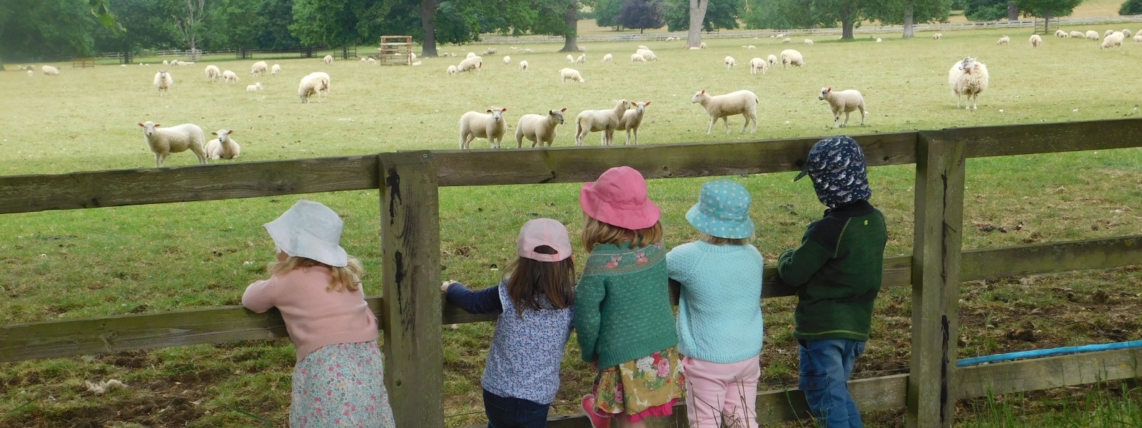 Overbury Grasshoppers -